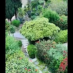 Regina Gardens With Fast Free Wi-Fi *